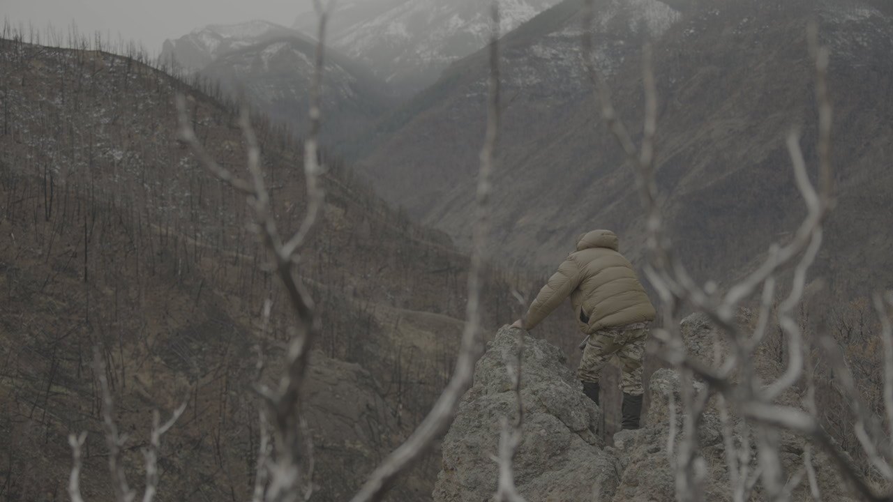 A hunter in the timber