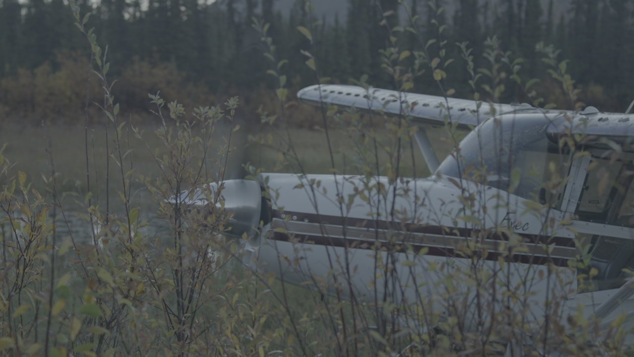 A floatplane at the water’s edge
